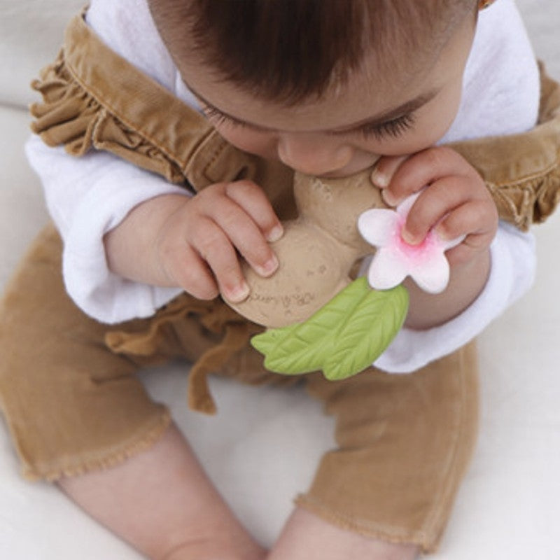 Oli&Carol Teether & Bath Toy - Nuts & Forest Fruits - Aly the Almond