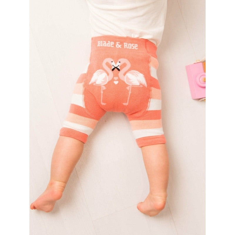 Blade & Rose Flamingo Shorts