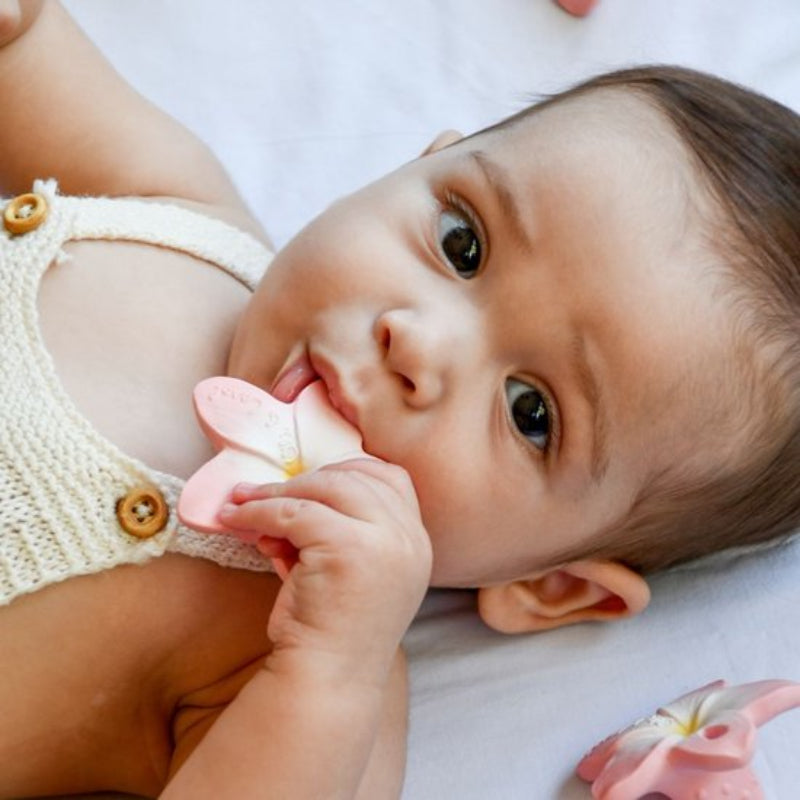 Oli&Carol Chewy-To-Go - Bella the Flower