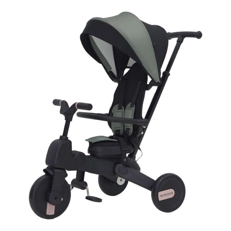 Mimosa 7-in-1 Trike