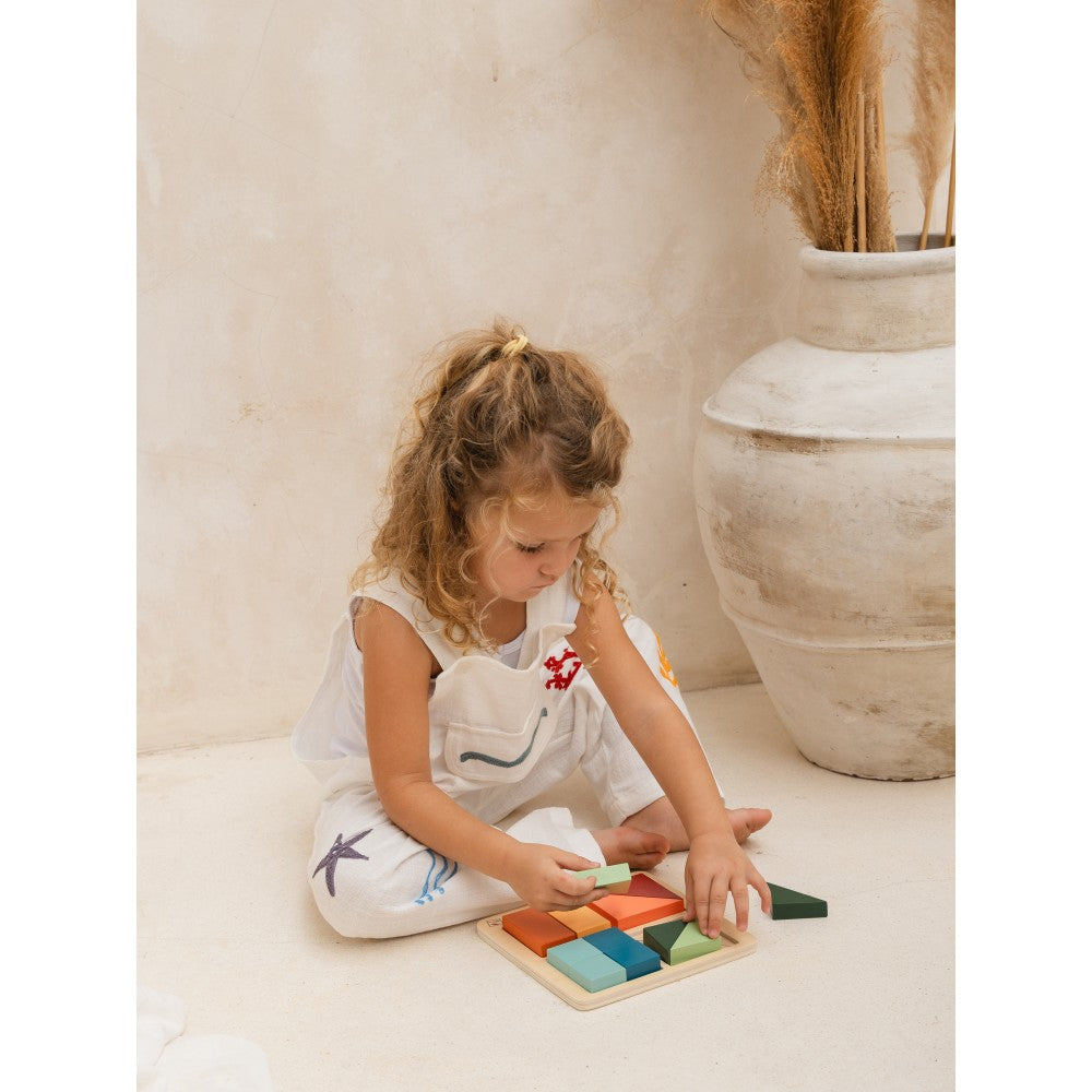Bubble Montessori by Eichhorn Shape Puzzle