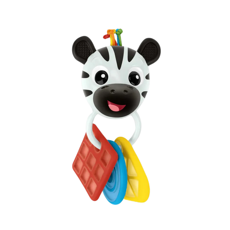Baby Einstein™ Shake A Shape Zen Teether Toy