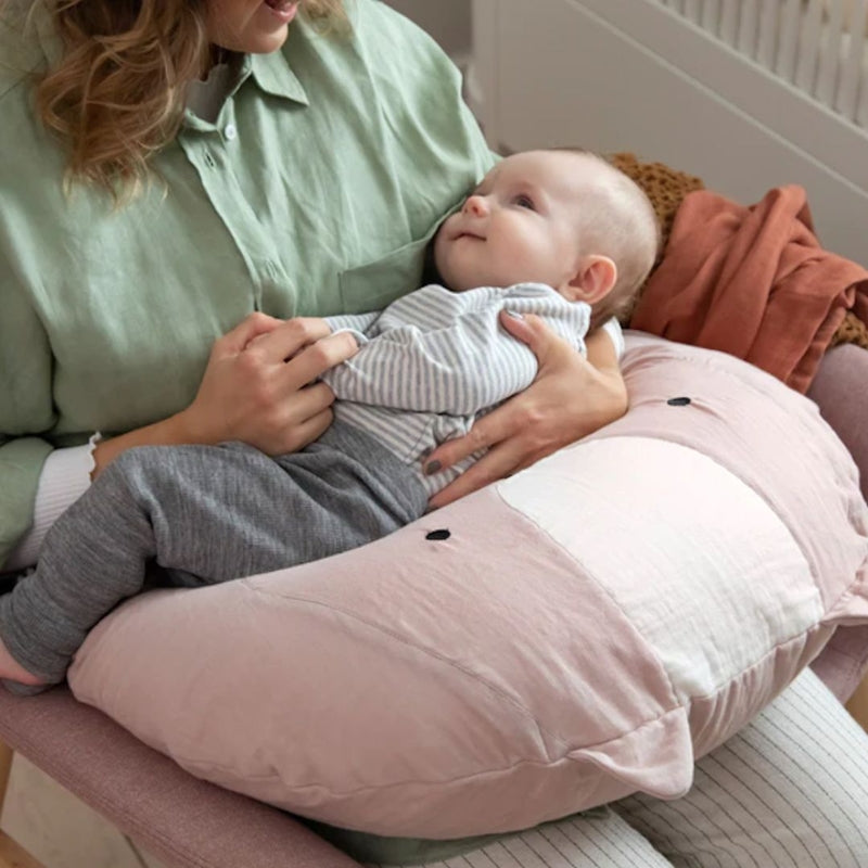 Sebra Interior Kapok Nursing Pillow - Zappy the Squirrel