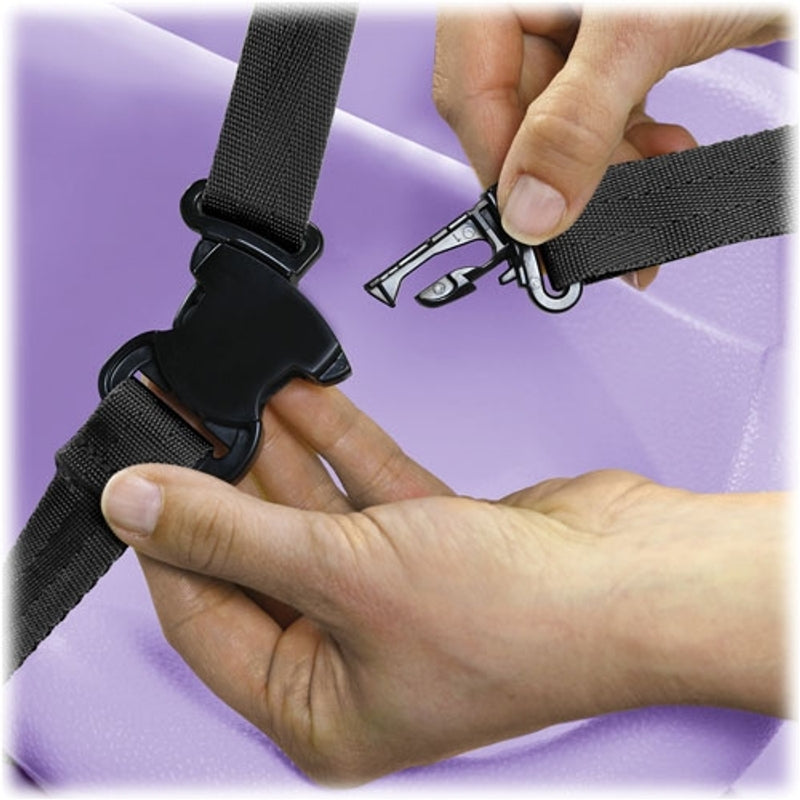 Fisher Price Royal 3 in 1 Trike - Bird/Purple