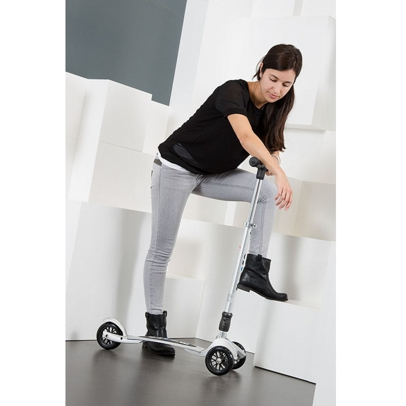 Micro Scooter Kickboard Compact Interchangeable