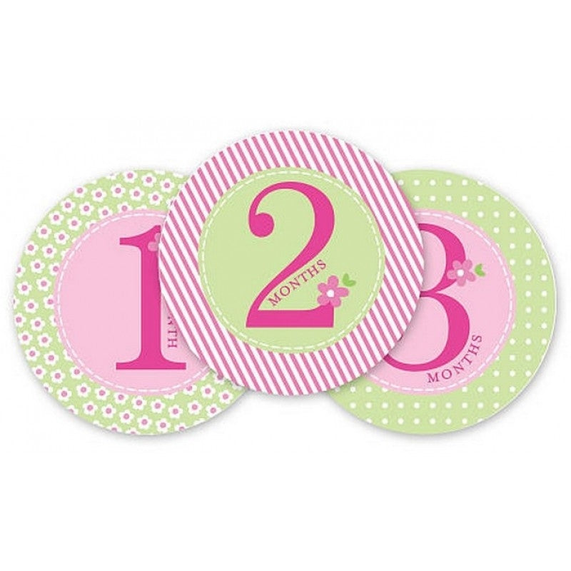 Pearhead First Year Belly Stickers - Pink