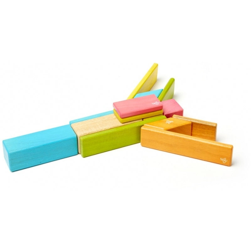 Tegu 14-Piece Set - Tints