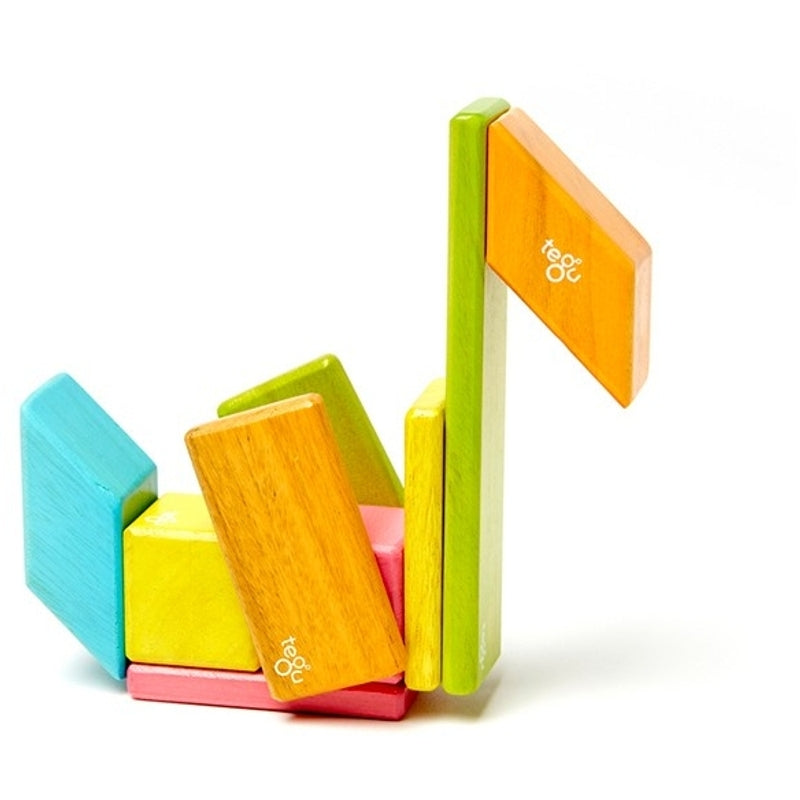 Tegu 14-Piece Set - Tints