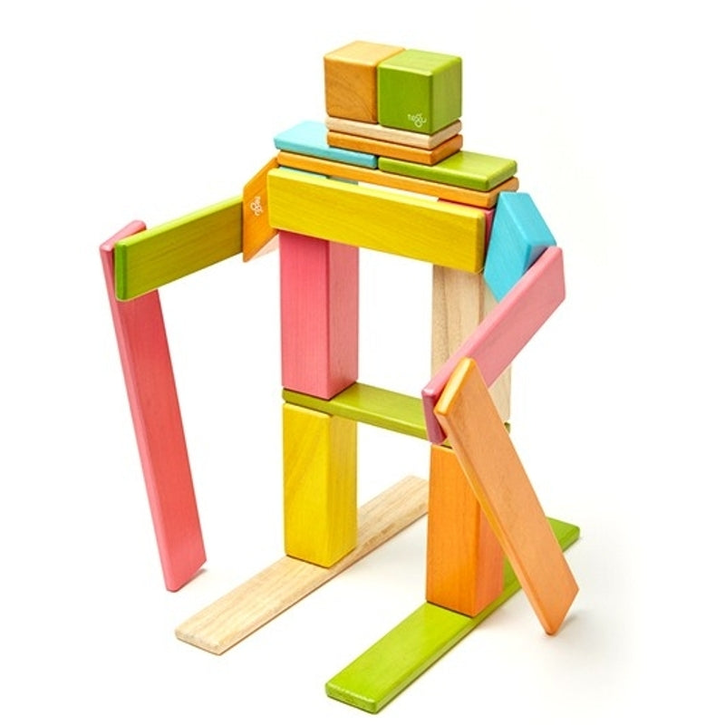 Tegu 24-Piece Set - Tints