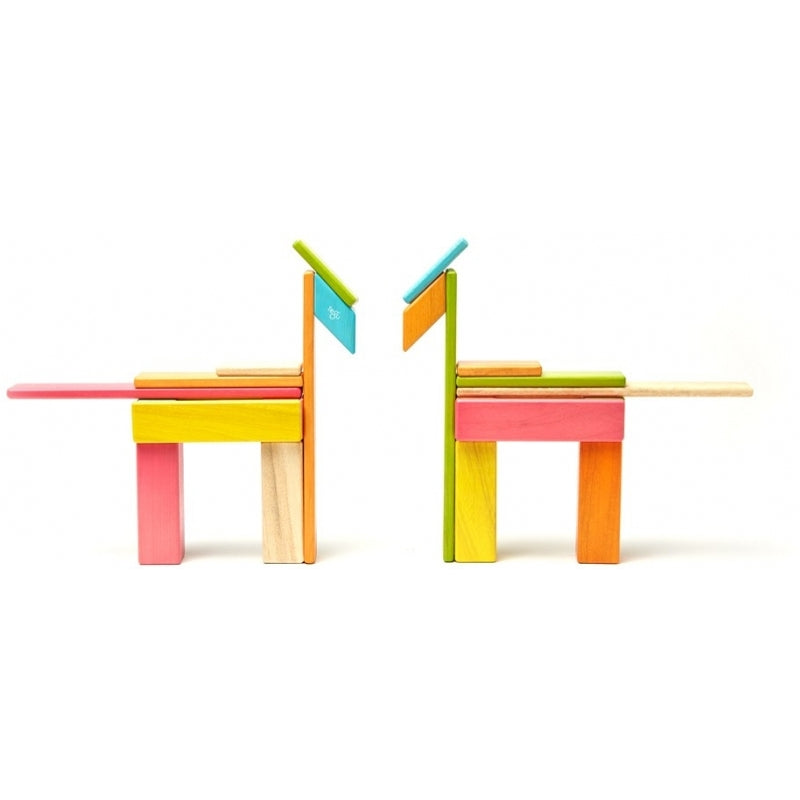 Tegu 24-Piece Set - Tints