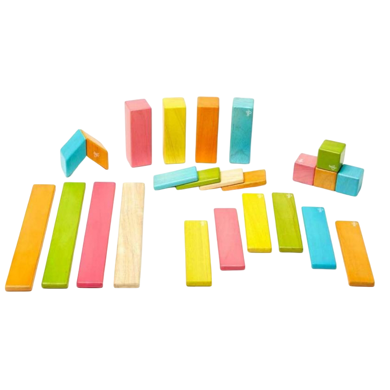 Tegu 24-Piece Set - Tints