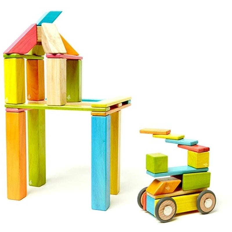 Tegu 42-Piece Set - Tints