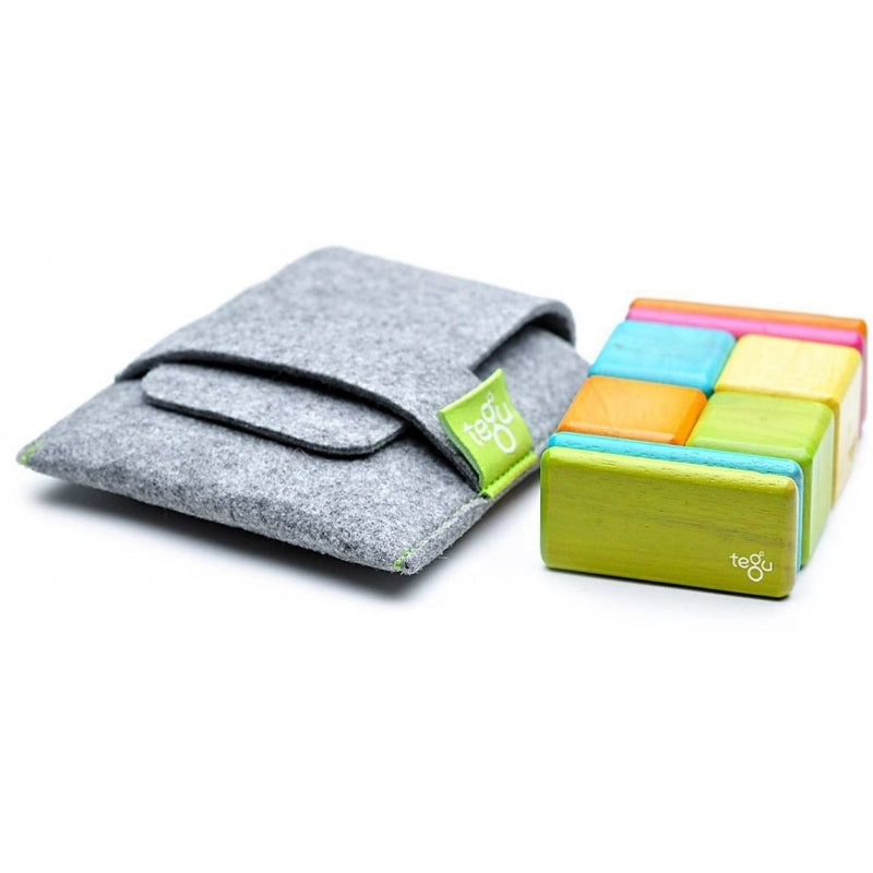 Tegu Original Pocket Pouch - Tints