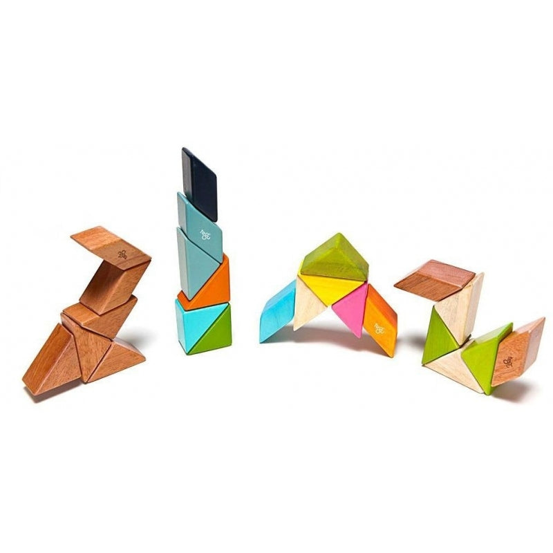 Tegu Prism Pocket Pouch - Tints