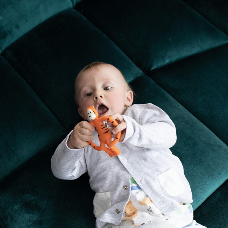 火柴棍猴動物牙膠 - 泰迪老虎