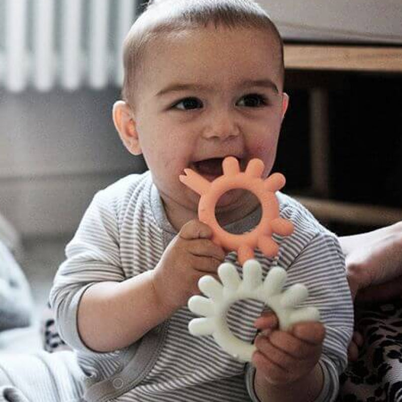 BORRN Animal Teethers
