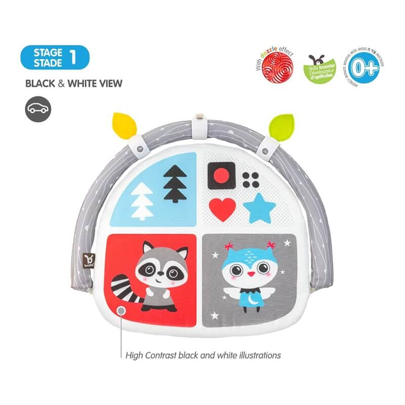 BenBat Dazzle Double Sided Car Arch