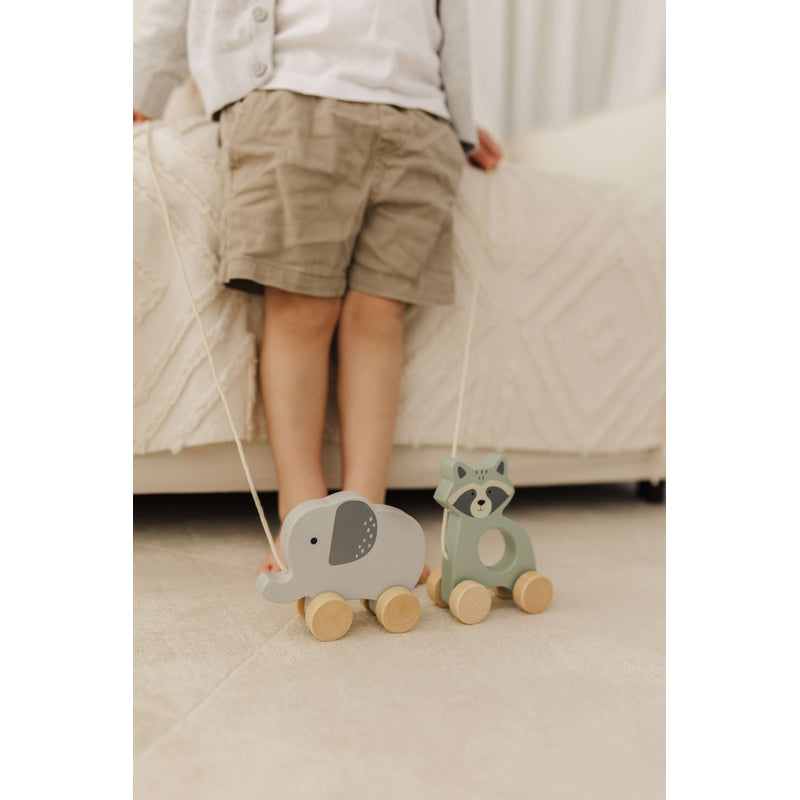 Bubble Wooden Elephant Pull Along Toy Bubble