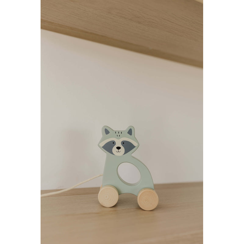 Bubble Wooden Raccoon Pull Along Toy Bubble