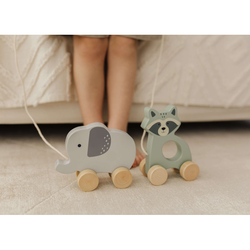 Bubble Wooden Raccoon Pull Along Toy Bubble