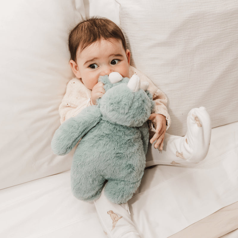 泡泡扁平毛絨玩具 - 恐龍博