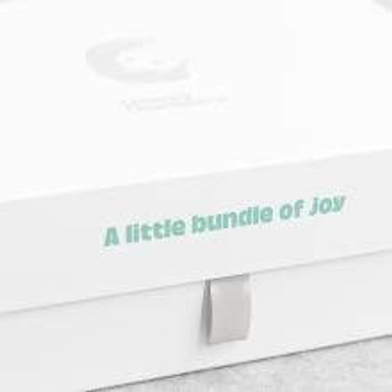 Cheeky Chompers Gift Box Kit