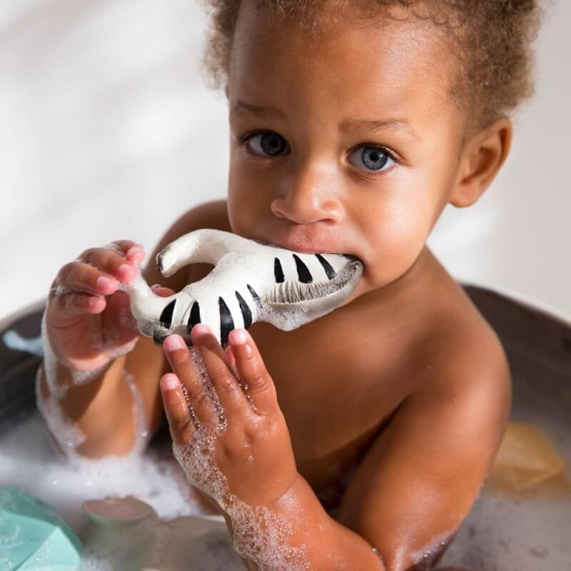 Oli&Carol Chewable Bracelet - Zoe the Zebra