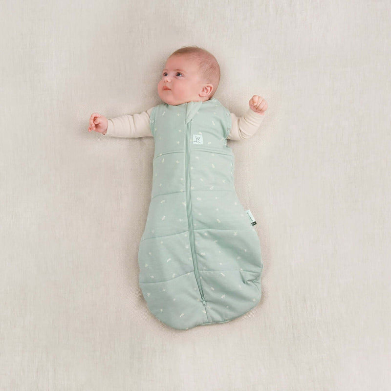 ergoPouch Cocoon Swaddle Sleep Bag