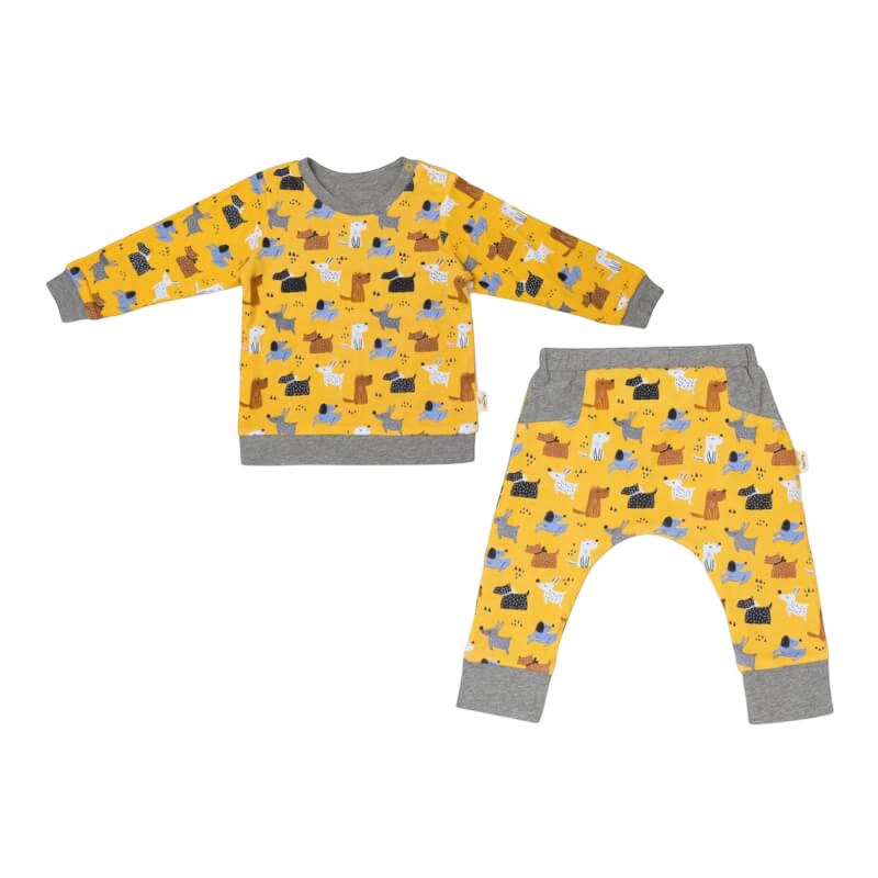 Cotton Pigs Colourful Dogs Reversible Jumper Pants Set