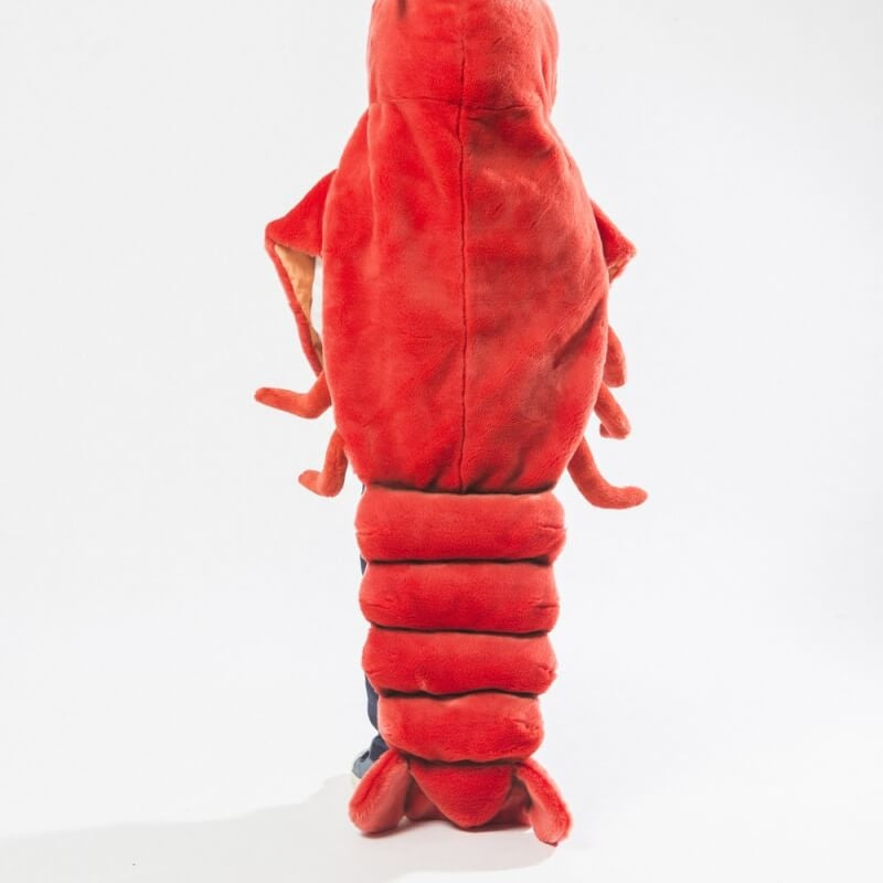 Wild & Soft Disguise Animal Costume - Libby the Lobster