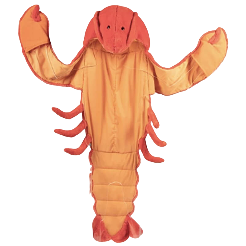 Wild & Soft Disguise Animal Costume - Libby the Lobster