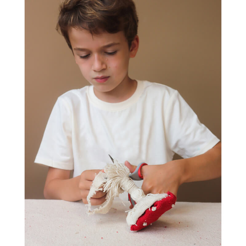 Oli&Carol DIY Hand Craft - Spot & Spotty the Mushroom