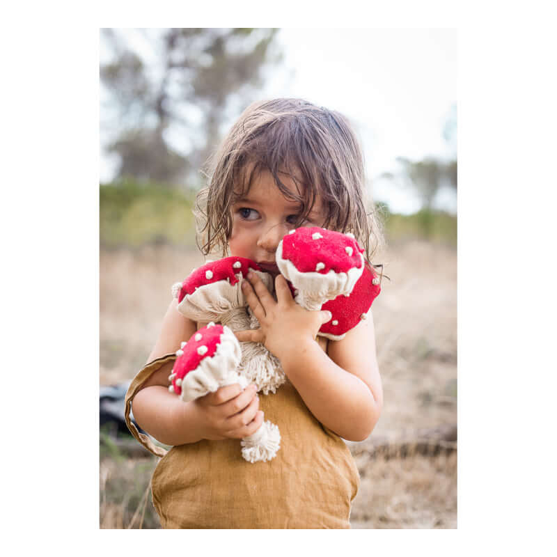 Oli&Carol DIY Hand Craft - Spot & Spotty the Mushroom