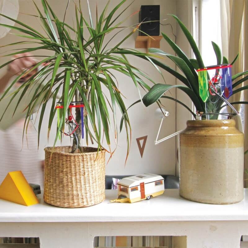 Tech Will Save Us Thirsty Plant Kit (8 years+)