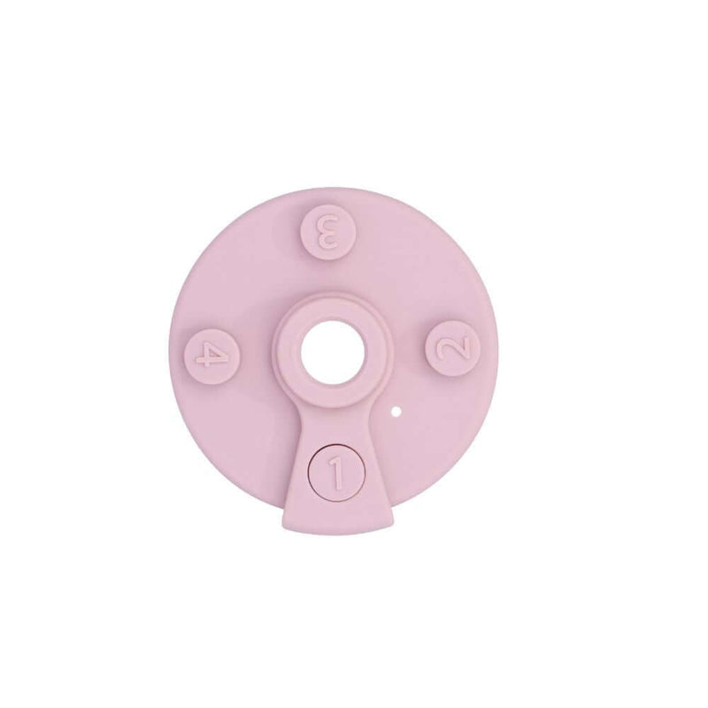 DRINQMORE Drinq Bottle 27oz - Blush DRINQMORE