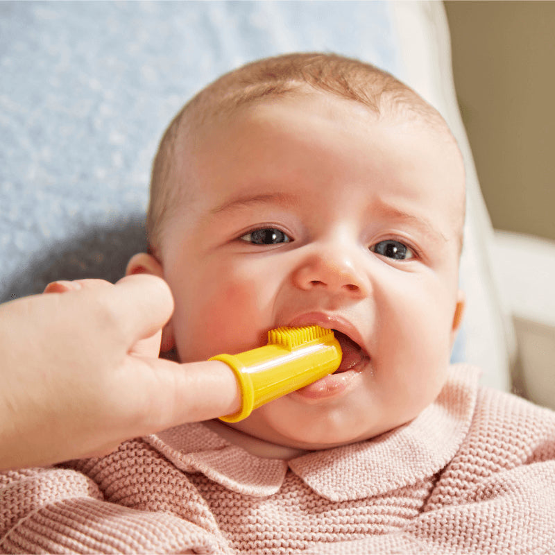 火柴棍猴指套牙刷(附便攜盒) - 獅子和長頸鹿