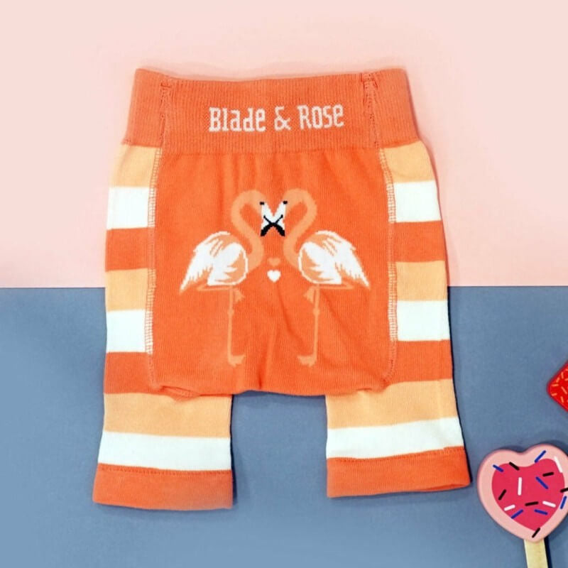 Blade & Rose Flamingo Shorts