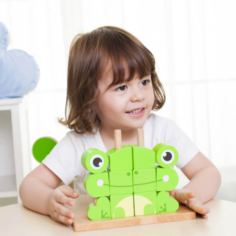 Classic World Frog Uni Blocks