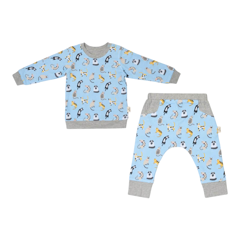 Cotton Pigs Funny Cats Reversible Jumper Pants Set