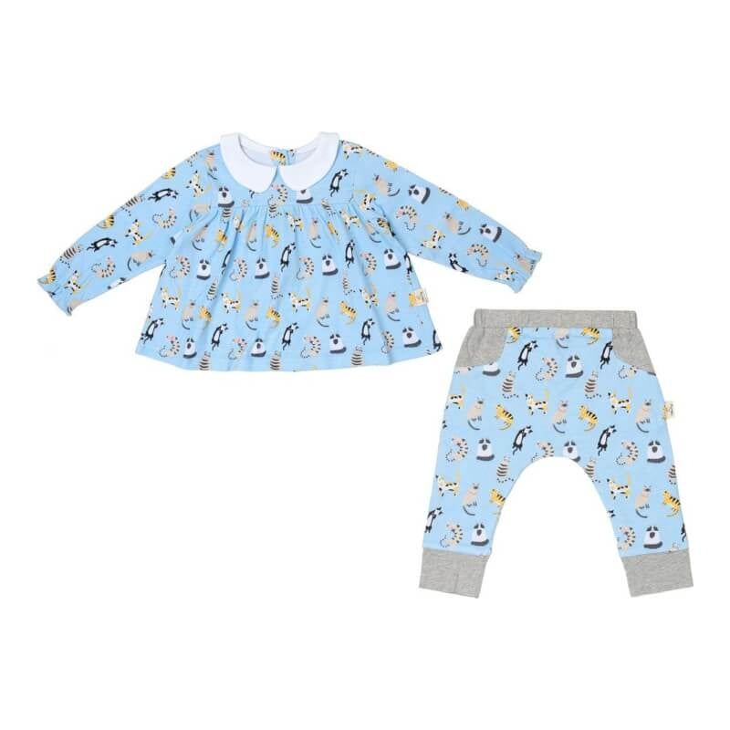 Cotton Pigs Funny Cats Teatime Blouse and Pants Set