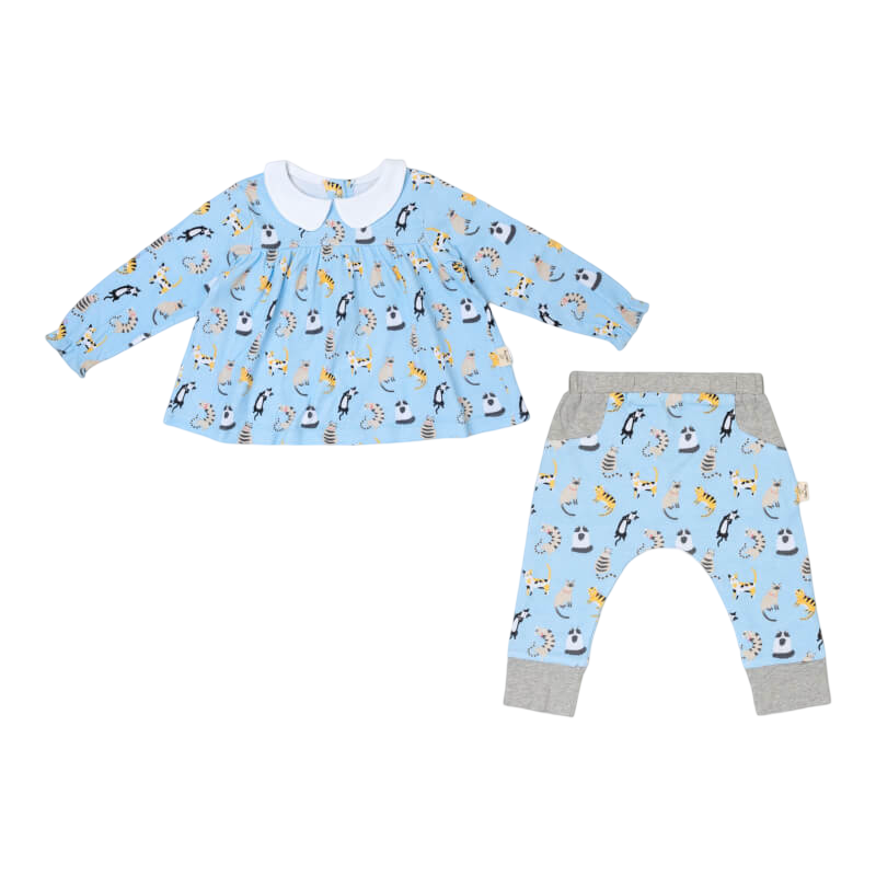 Cotton Pigs Funny Cats Teatime Blouse and Pants Set