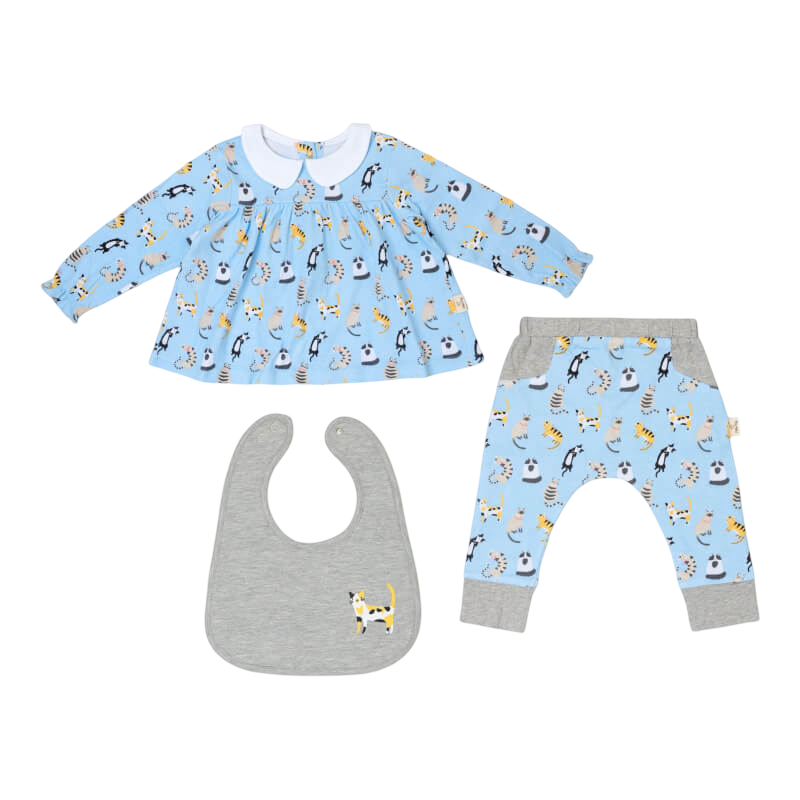 Cotton Pigs Funny Cats Teatime Blouse Gift Set