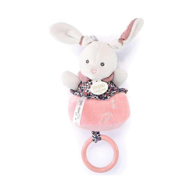 Doudou et Campagnie Histoire d'Ours Bunny Music Box 20cm