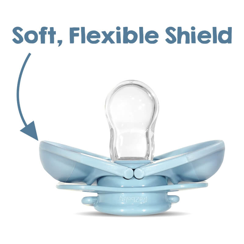 RaZbaby Keep-It-Kleen Pacifier - Blue & Gray