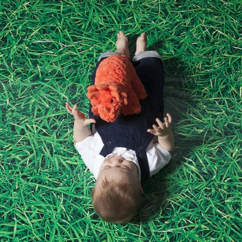 Manhattan Toy Little Jurassics - Rory Triceratops