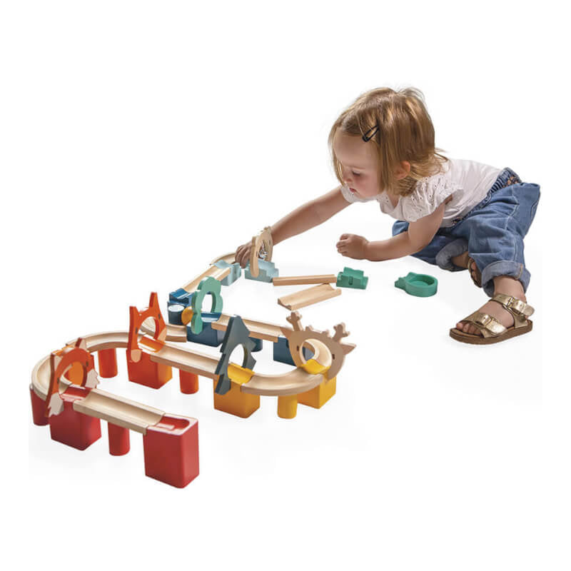 Janod My First Circuit