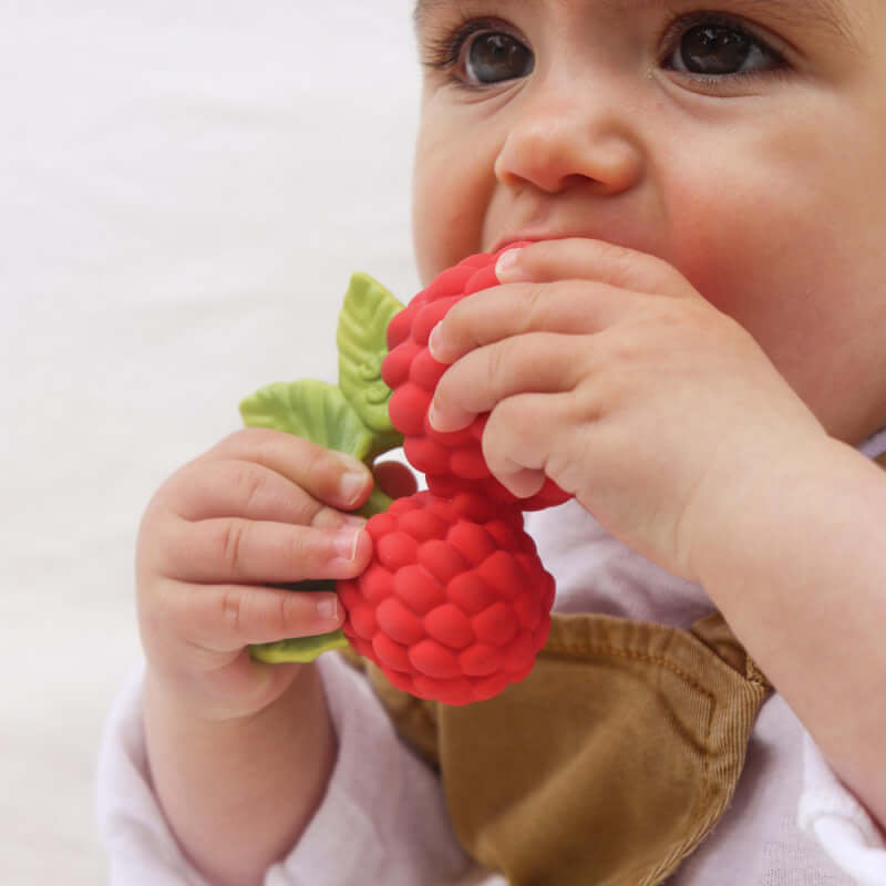 Oli&Carol Teether & Bath Toy - Nuts & Forest Fruits - Valery the Raspberry