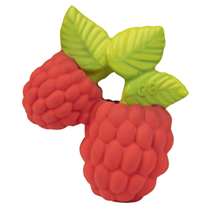 Oli&Carol Teether & Bath Toy - Nuts & Forest Fruits - Valery the Raspberry