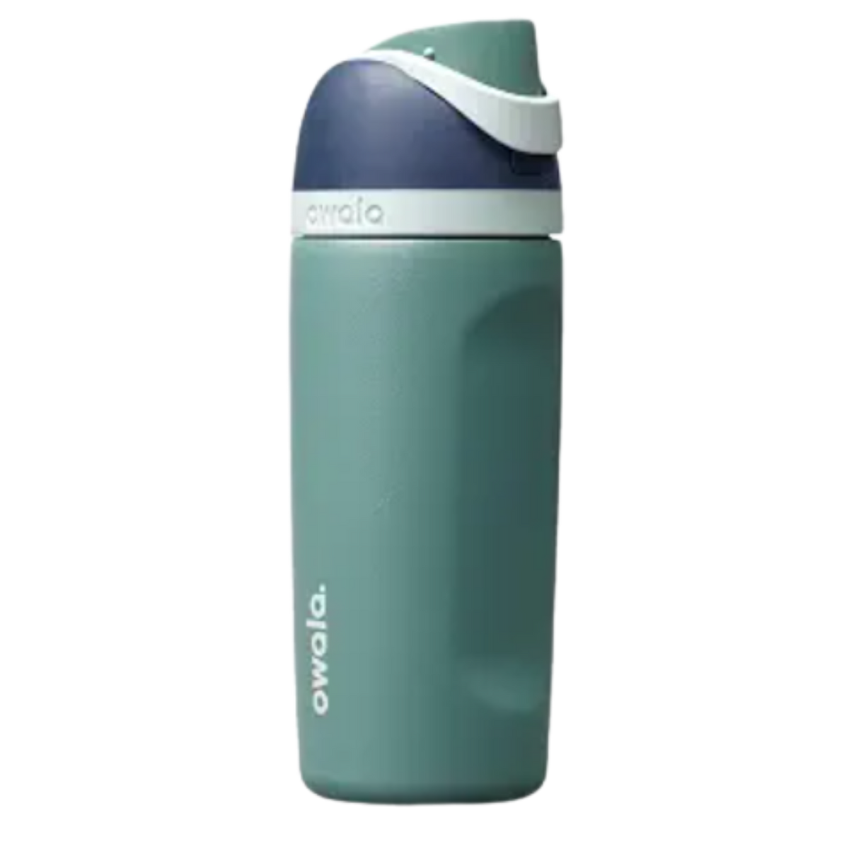 Owala Freesip Kids Stainless Steel Water Bottle 16oz - Joshua Tree