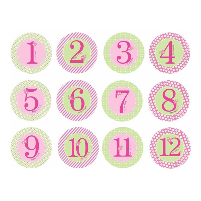 Pearhead First Year Belly Stickers - Pink